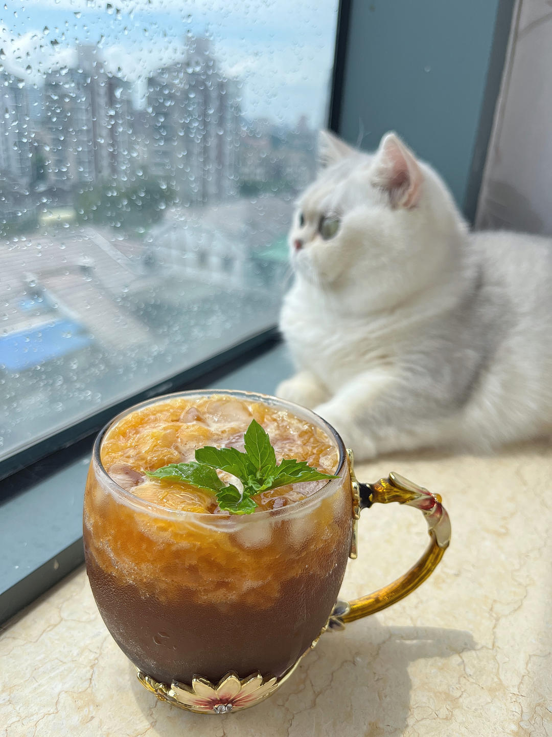 自制瑞幸橙C美式~冰咖控最爱