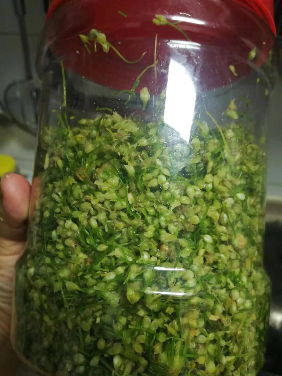 韭花酱