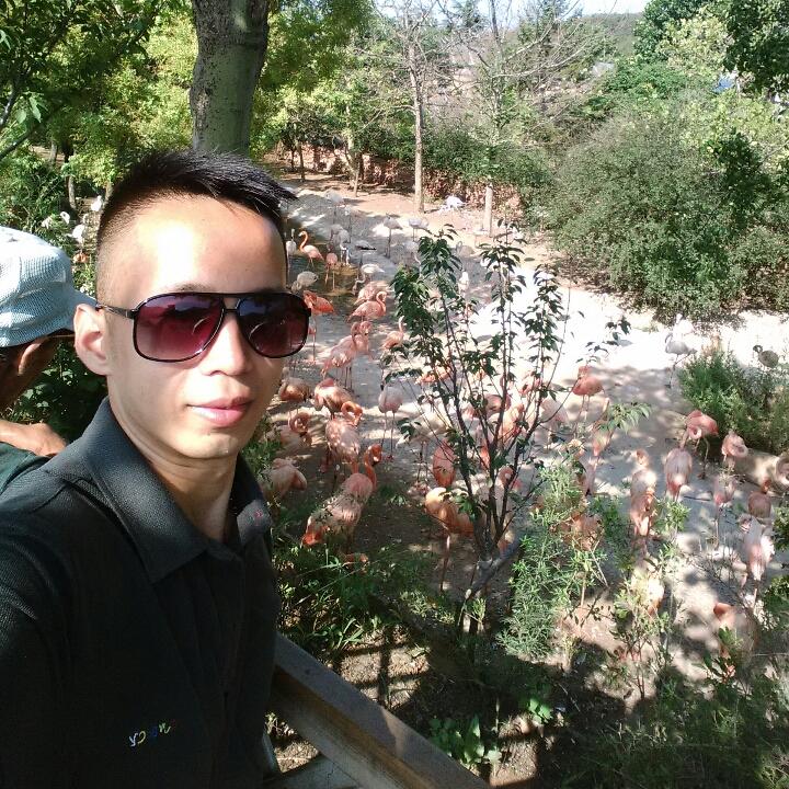 手机用户1565_ezs4