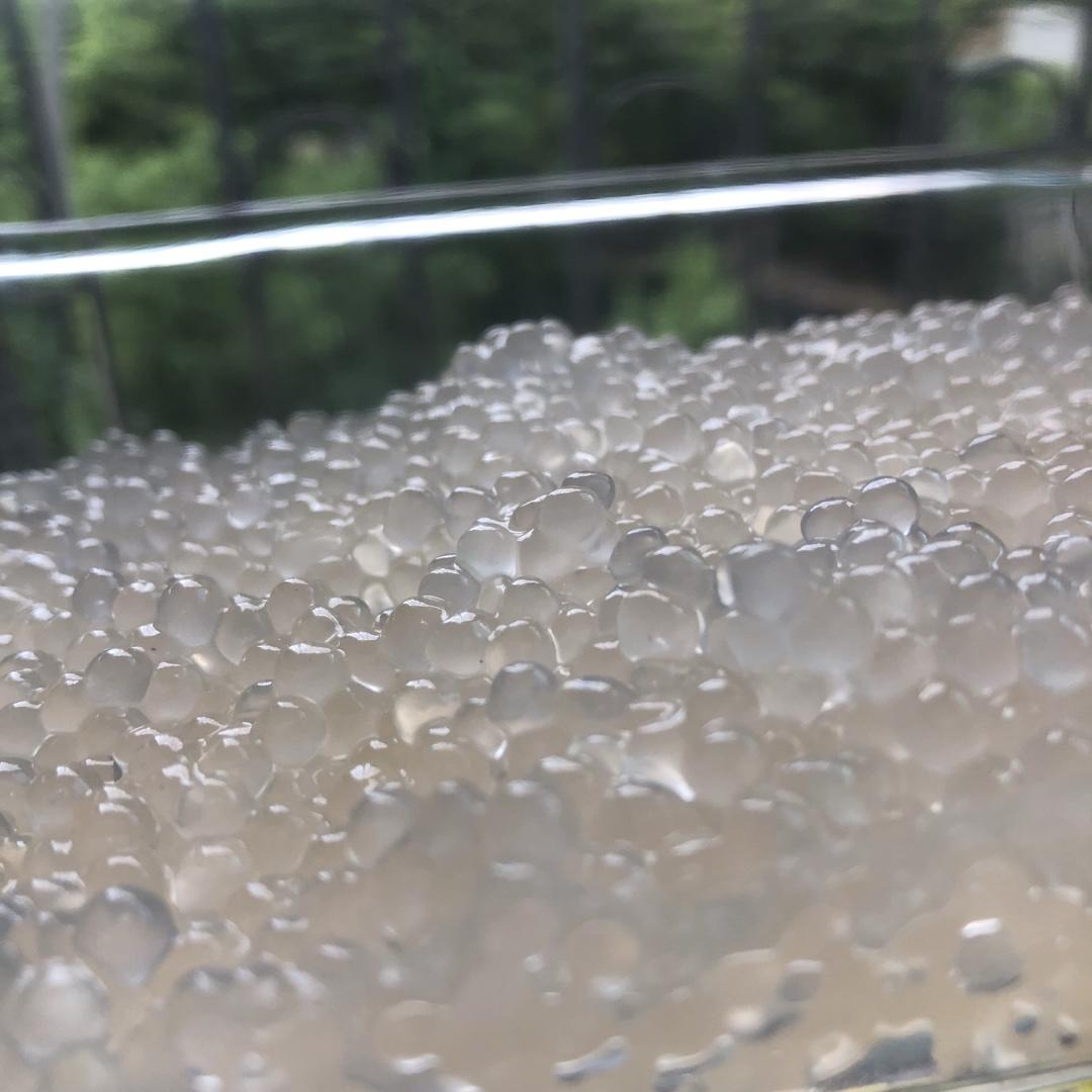 到底如何煮西米才没有白芯？