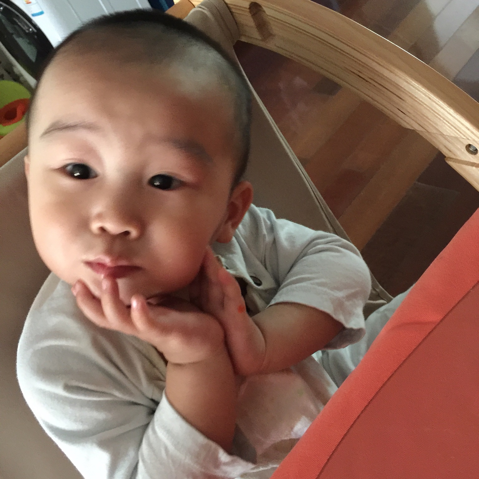 小布jl