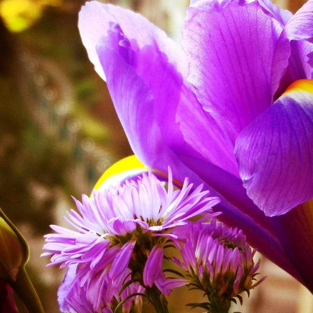 手机用户0061_a9qy