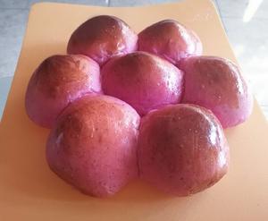 红心火龙果紫薯小面包的做法 步骤8