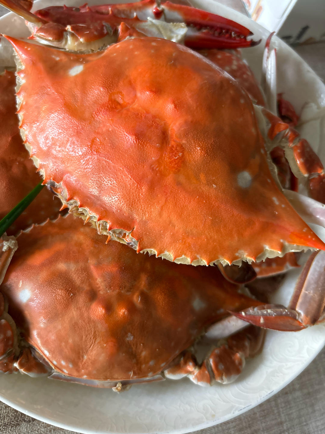 煮梭子蟹