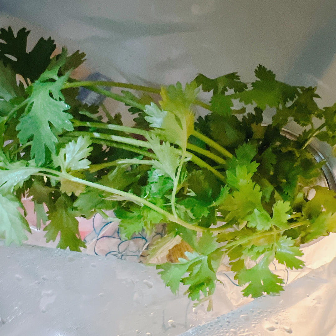 香菜保存方法：放冰箱养