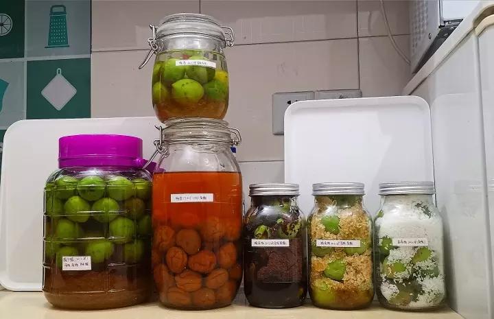 【青梅酒】梅子的沉醉时光（已填坑）