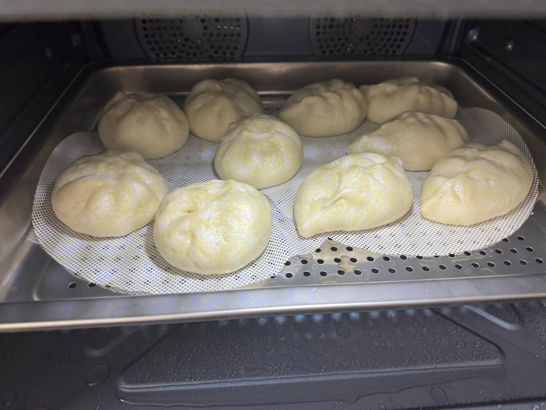 豆沙包（一次性发酵）