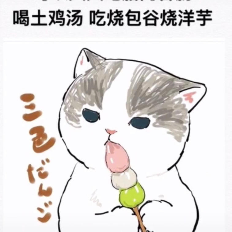 非礼了流氓的兔子