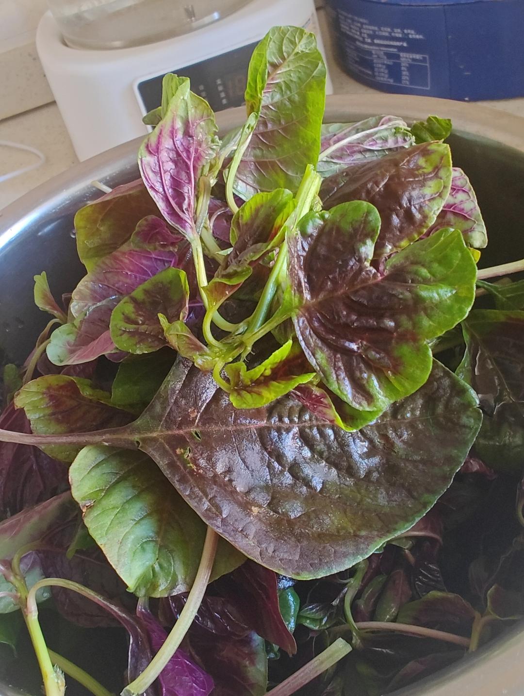 Q弹肉馅、野苋菜肉馅，软乎乎的白胖包子➕褶子持久美观体会