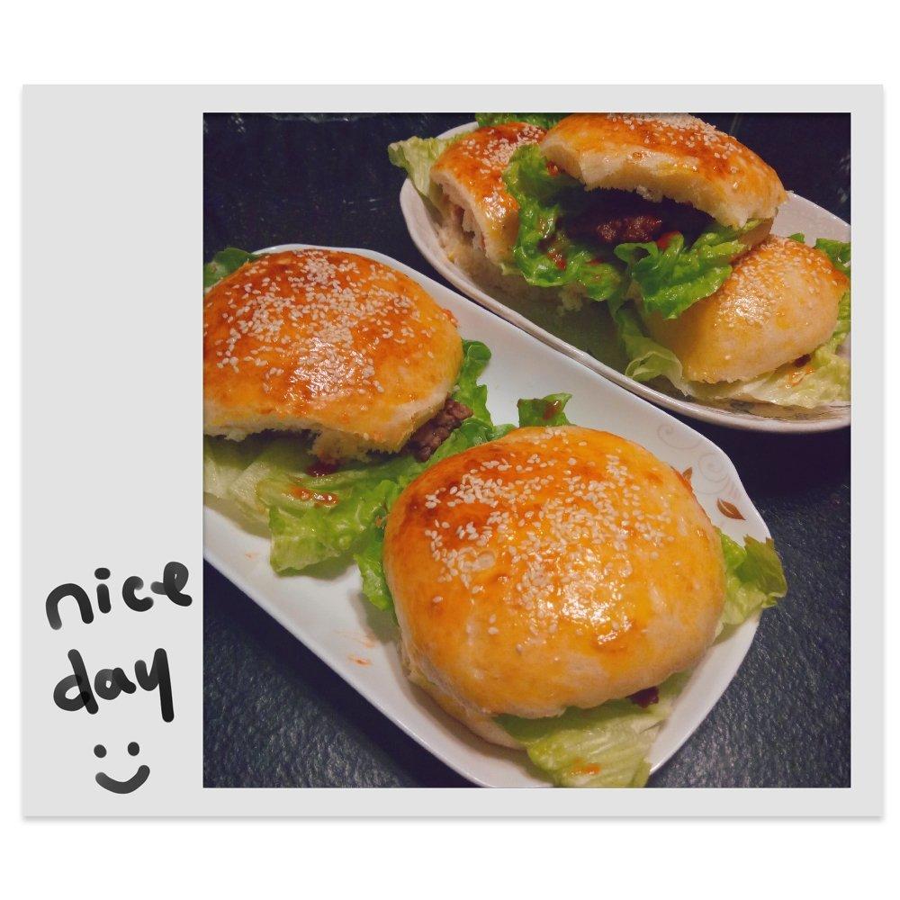 汉堡胚（中种法）