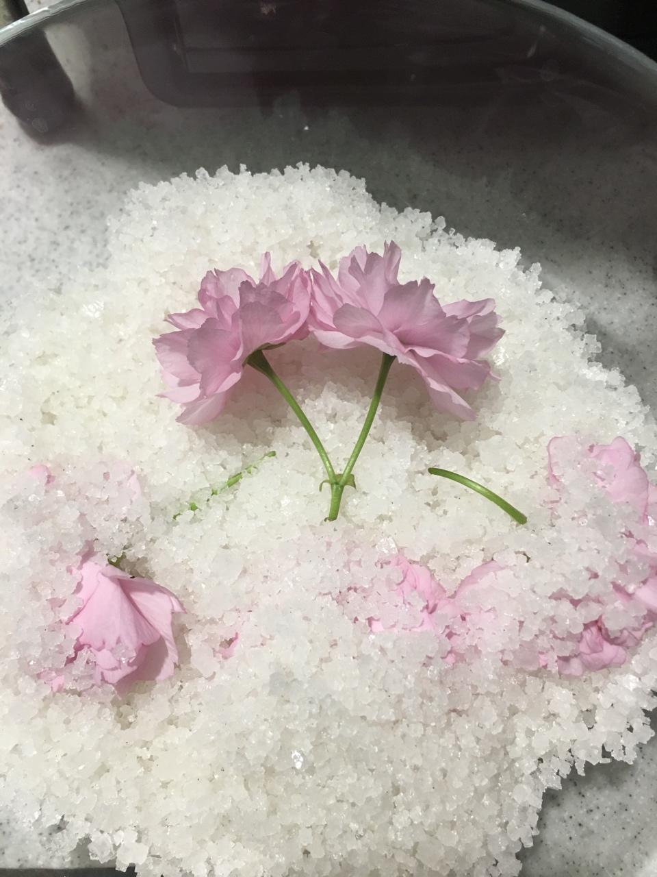 盐渍樱花
