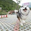 哎呦欢迎蔡美丽