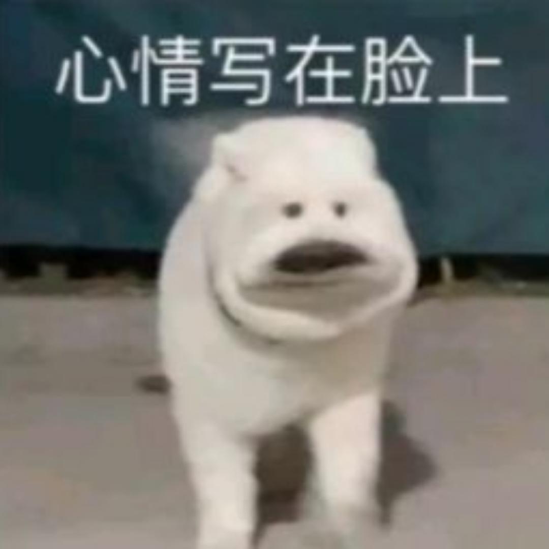 我是厨神别人都是假的