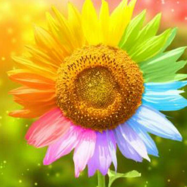 阳光下妹子不凋零