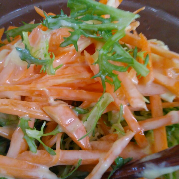 蔬菜色拉