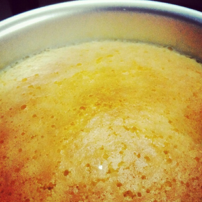 6寸活底模轻乳酪蛋糕--文怡方子