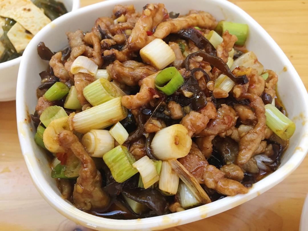 杂食