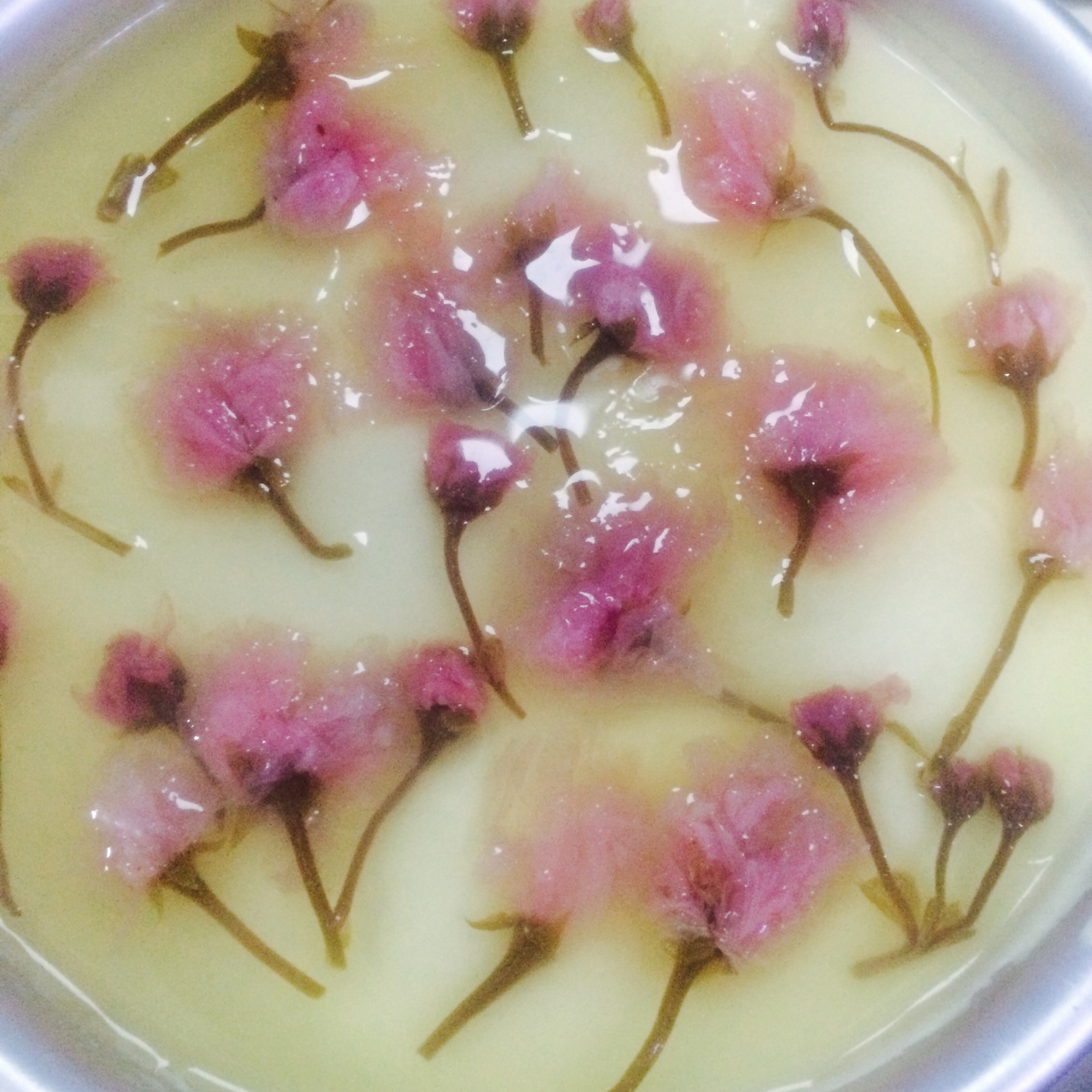 🌸樱花冻芝士蛋糕🌸6寸