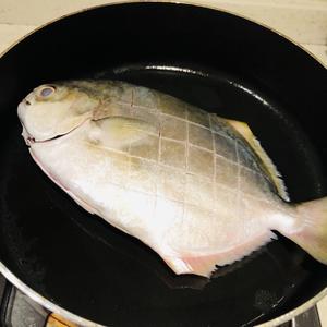 🥒青瓜红烧金鲳鱼🥒—看似奇怪搭配❗️变化出一道好美味❗️的做法 步骤2
