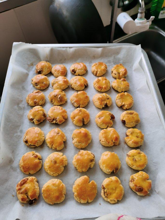 🔥零失败超级香酥可口的提子奶酥，奶香浓郁