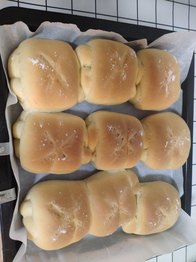 牛奶面包---5°冷藏基础发酵