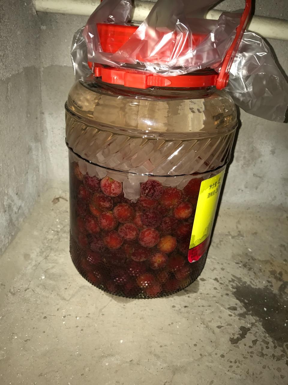 杨梅酒