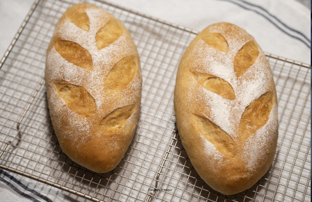 「蔓越莓全麦乳酪软欧」烘焙进阶版