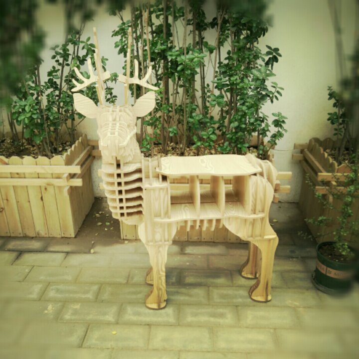 一只鹿的多彩生活