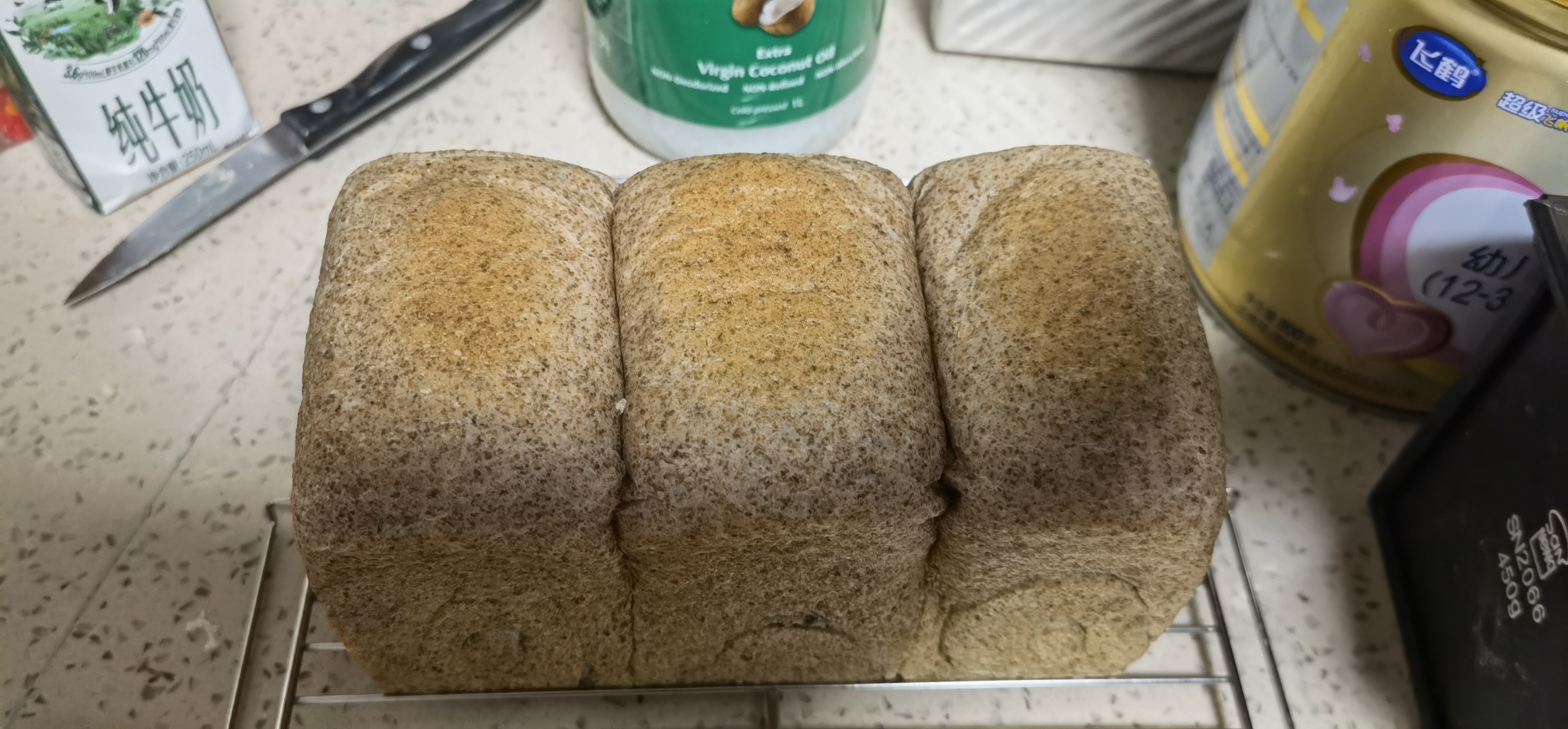黑全麦面包（烫种+水合法）的做法