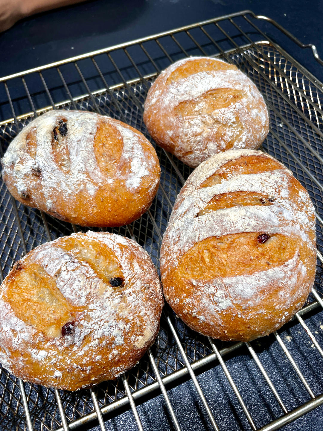 外表香脆内心柔软，油管看了不下20个视频综合出来的平民版波兰种欧包