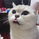 手机用户3816_emfp