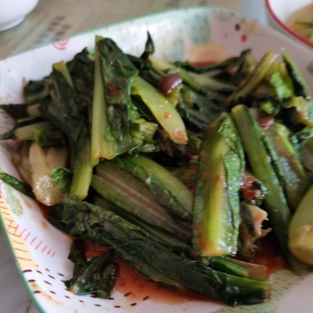 凉拌油麦菜