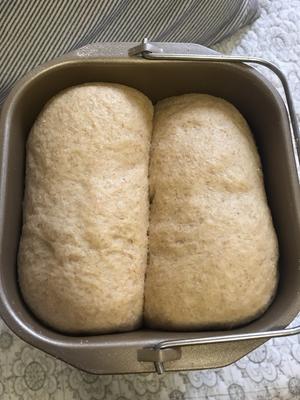 减脂小厨 100%全麦面包（面包机版）的做法 步骤16