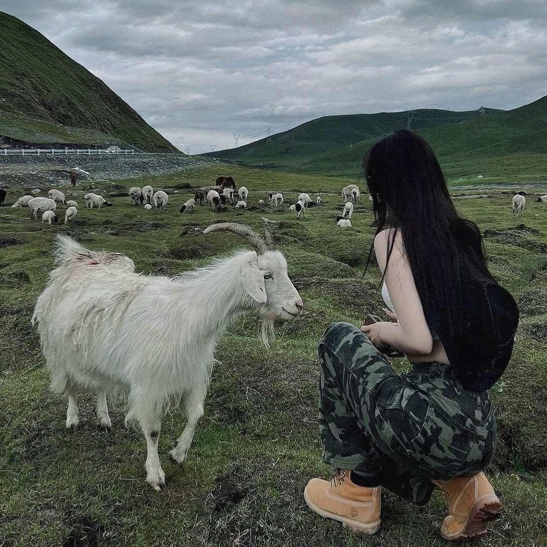 下段路我们一起走