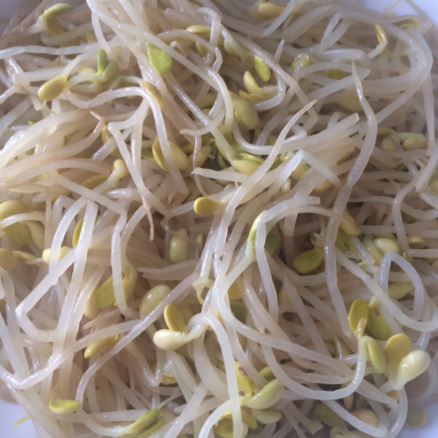 素炒黄豆芽