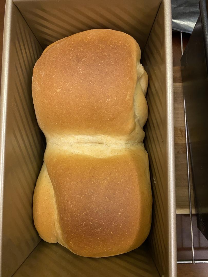 金大旺的女朋友吐司