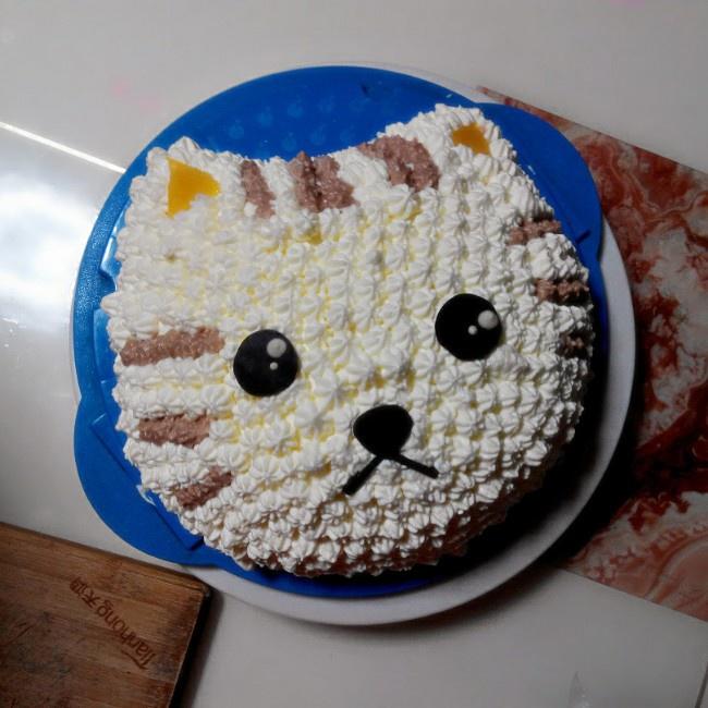 猫咪生日蛋糕的做法