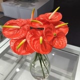 点点小点心