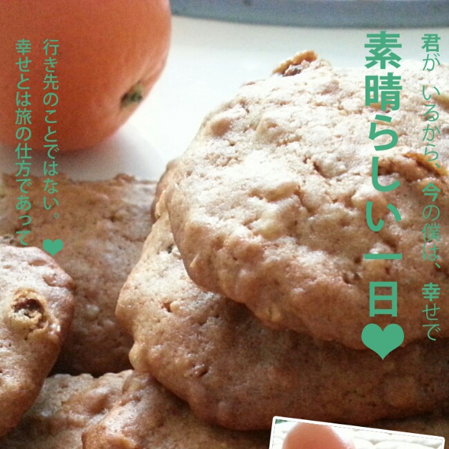 燕麦葡萄干酥饼