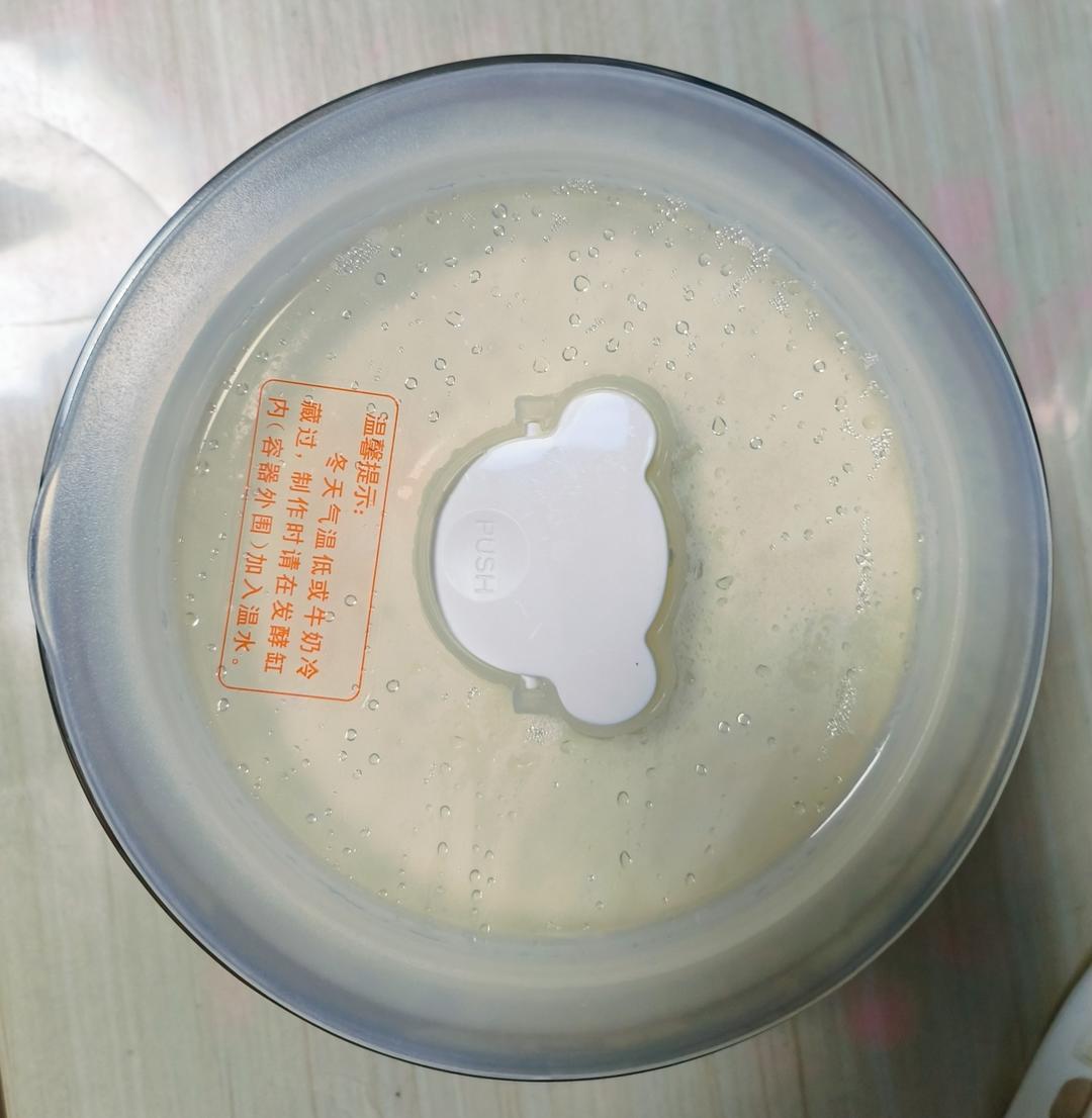 奶皮子酸奶（自用）