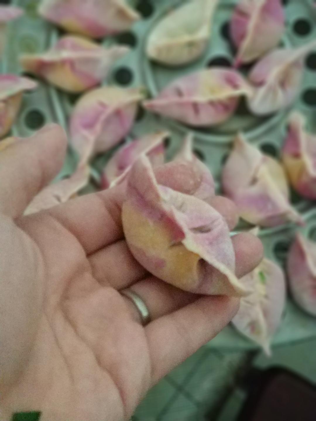 七彩饺子！彩色饺子～