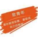 文心刀光