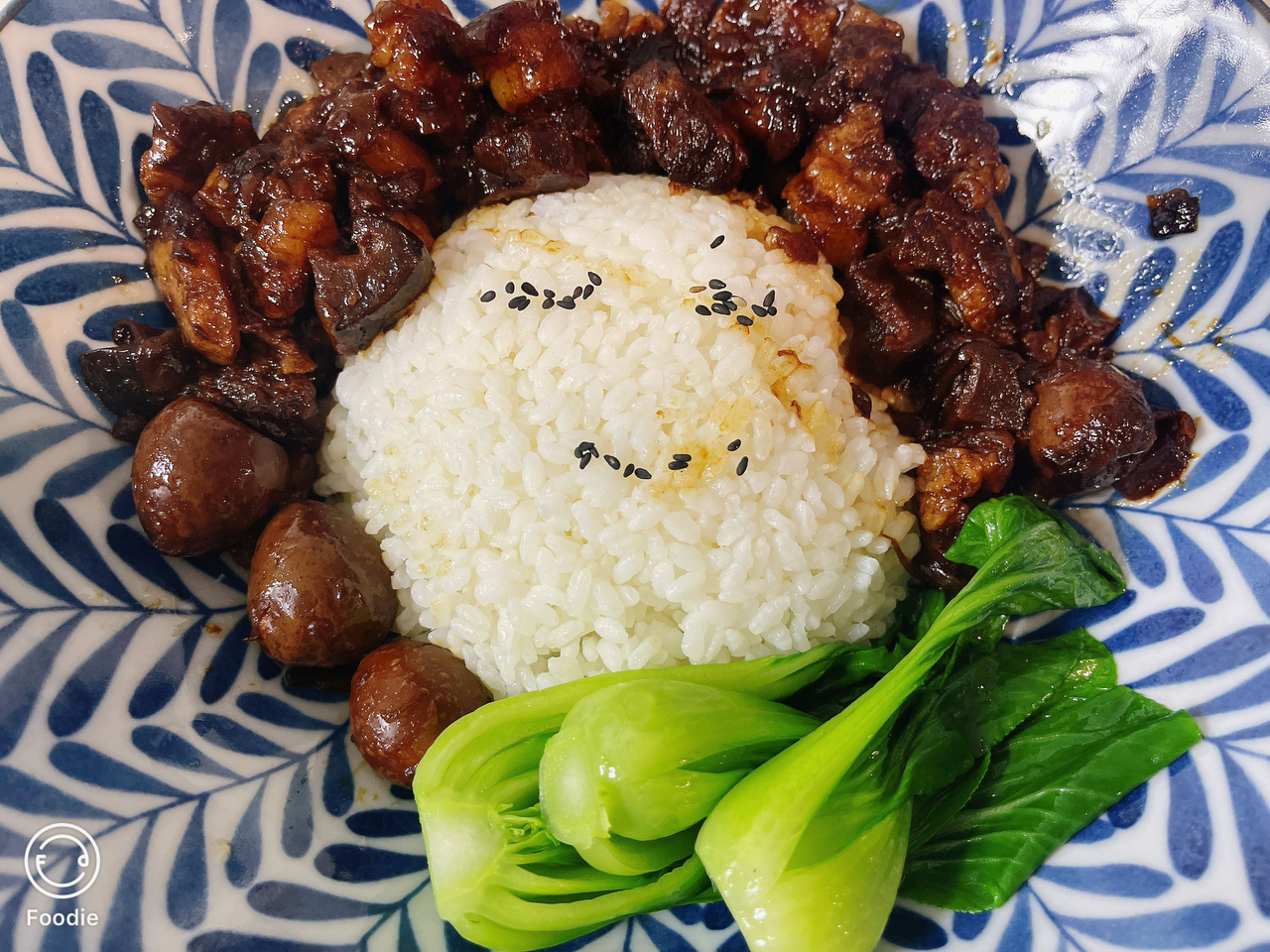 洋葱酥卤肉饭