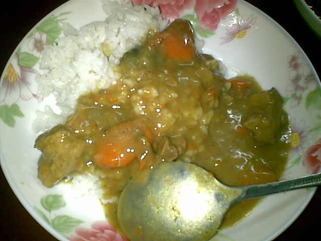 土豆咖喱鸡盖浇饭