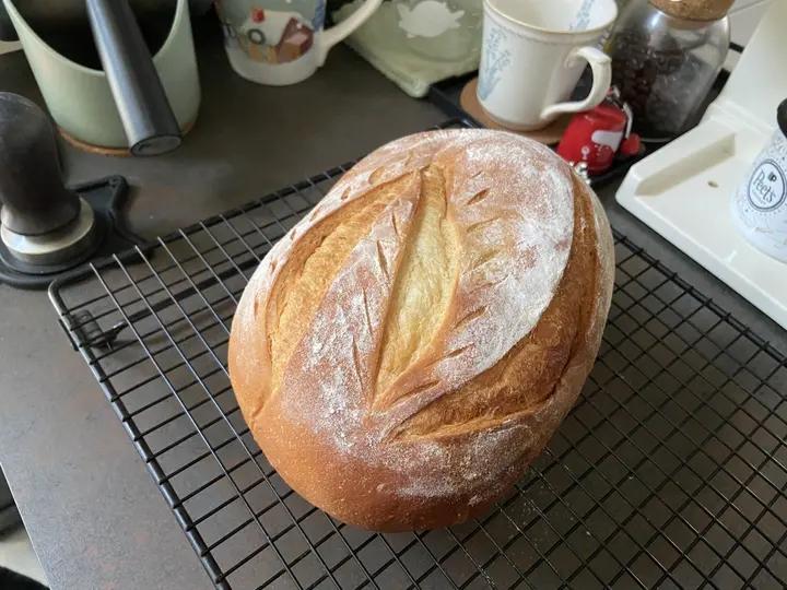 葡萄干核桃软欧包