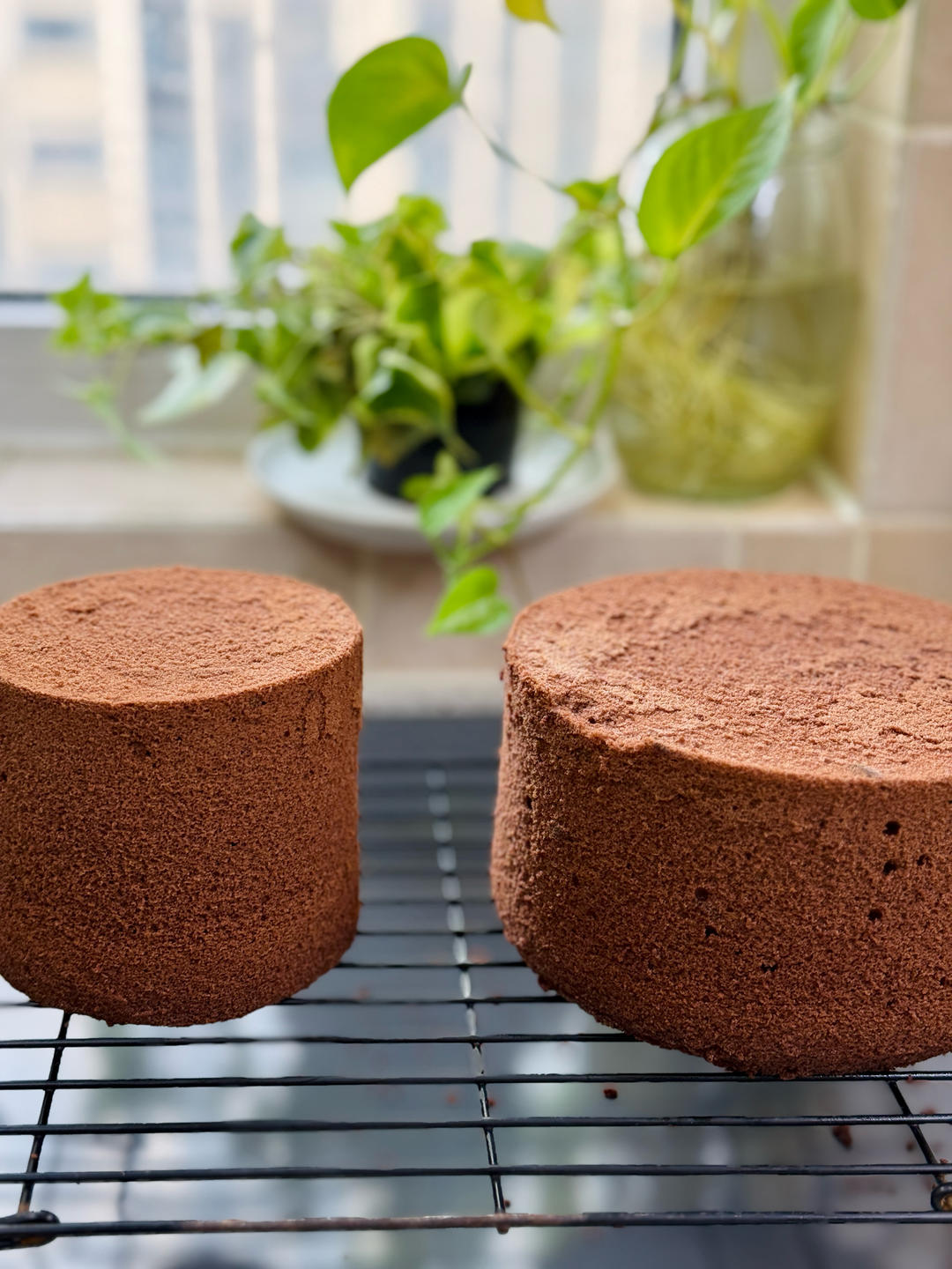 shuiting’s 蛋糕卷