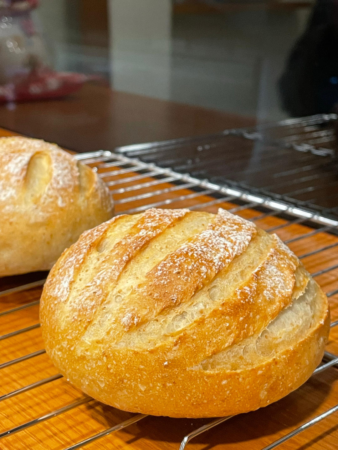 全麦蔓越莓乳酪软欧（附法国老面配方）