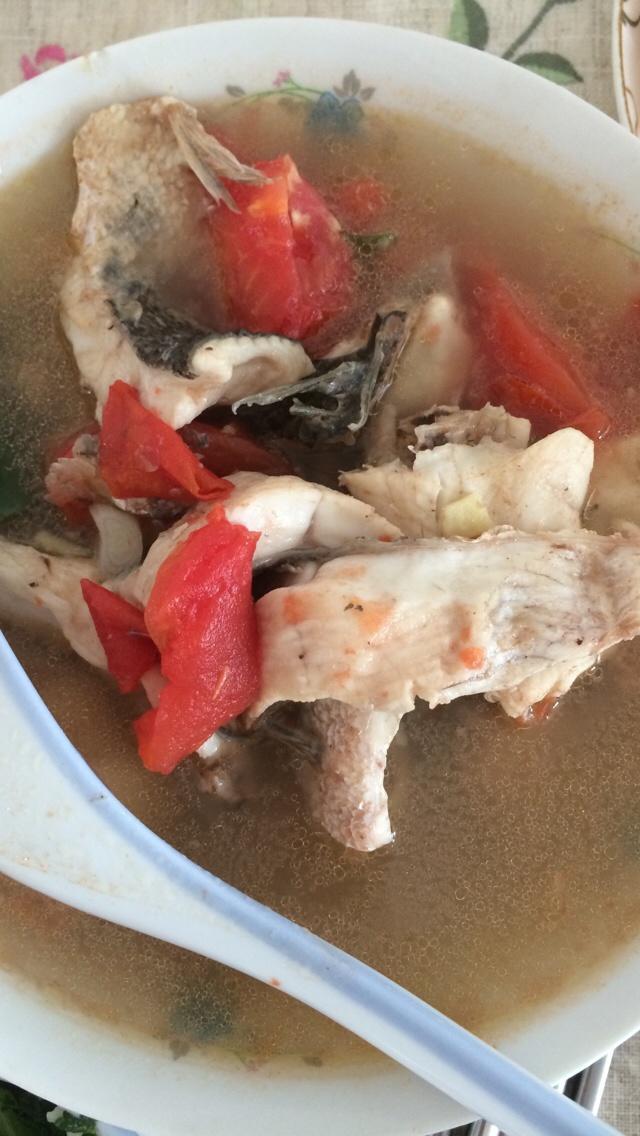 西红柿黑鱼汤的做法