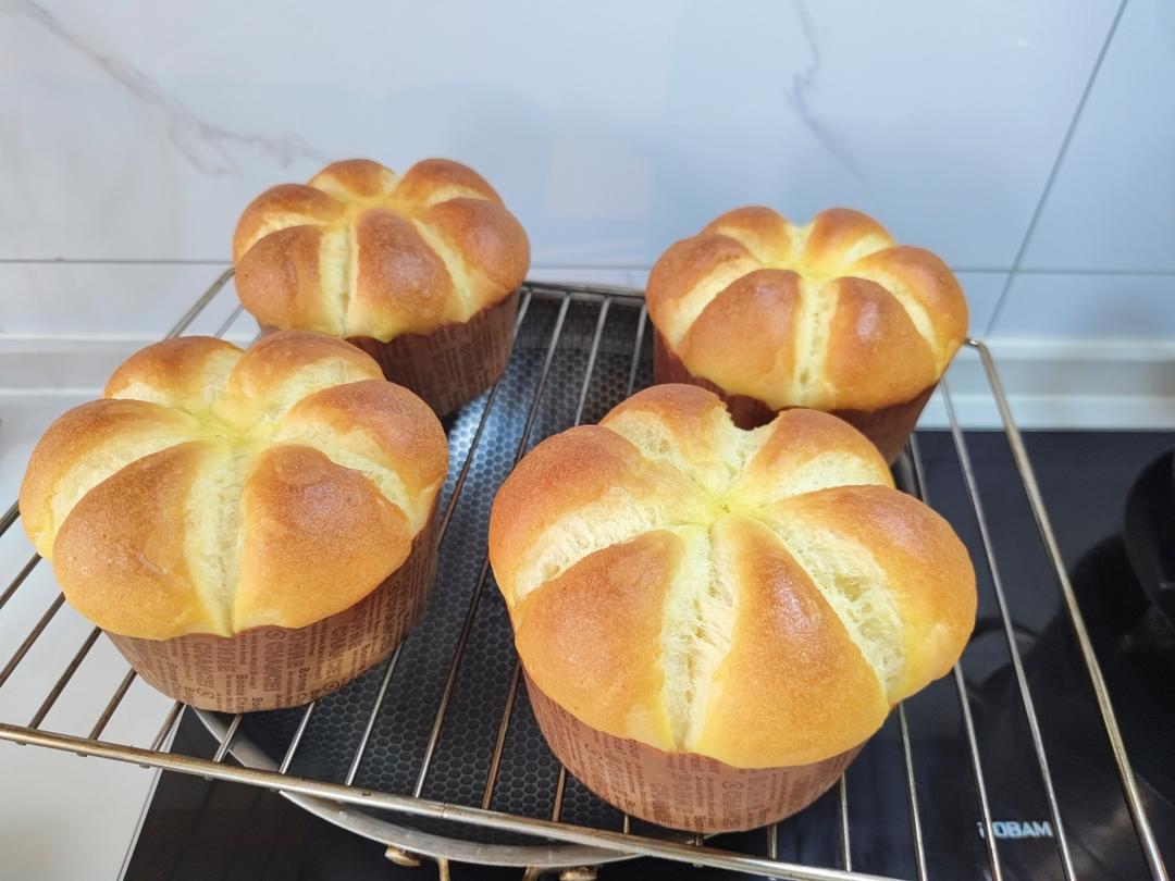 记录生活中的小美好（自用勿入）