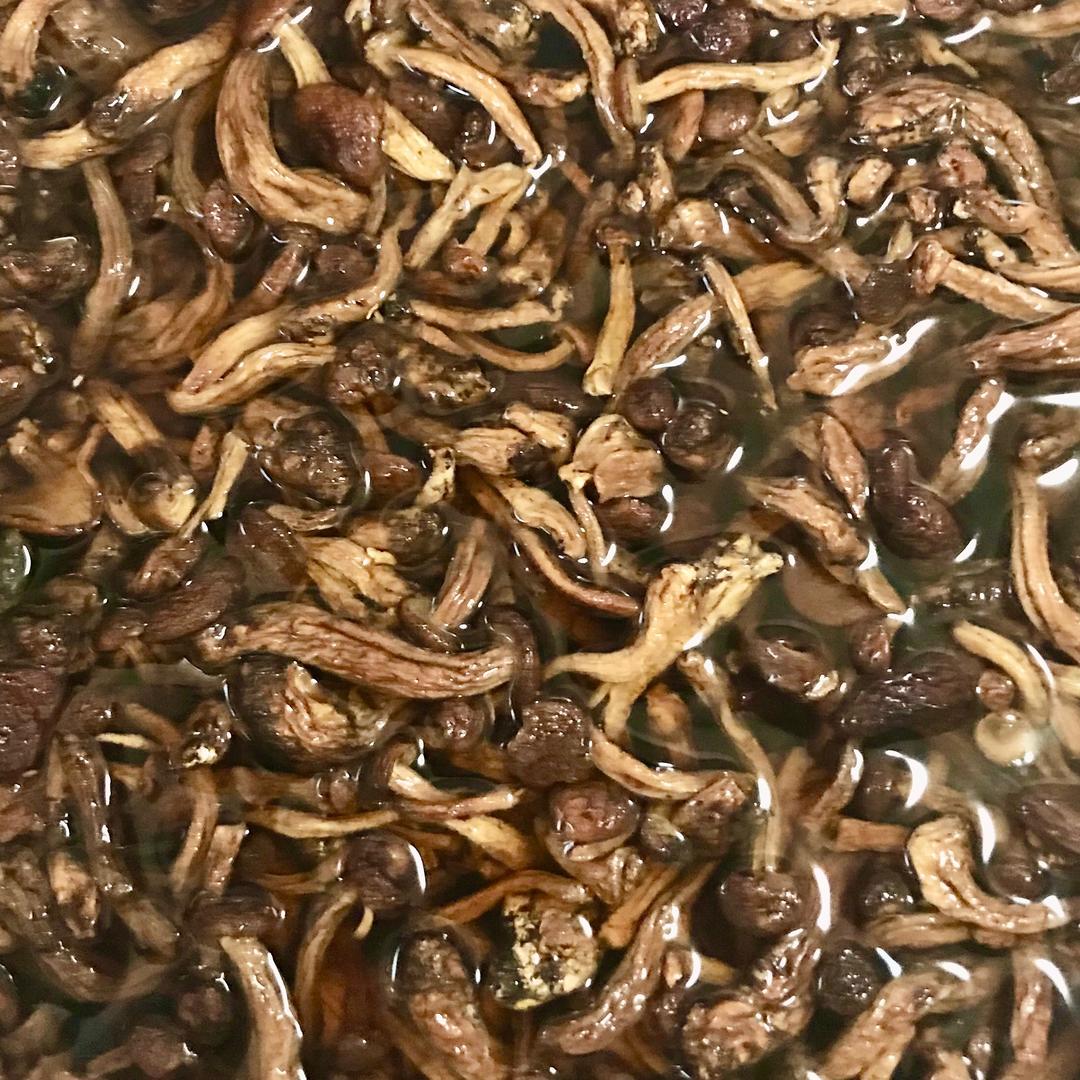 小鸡炖蘑菇粉条（珍品毛尖蘑）